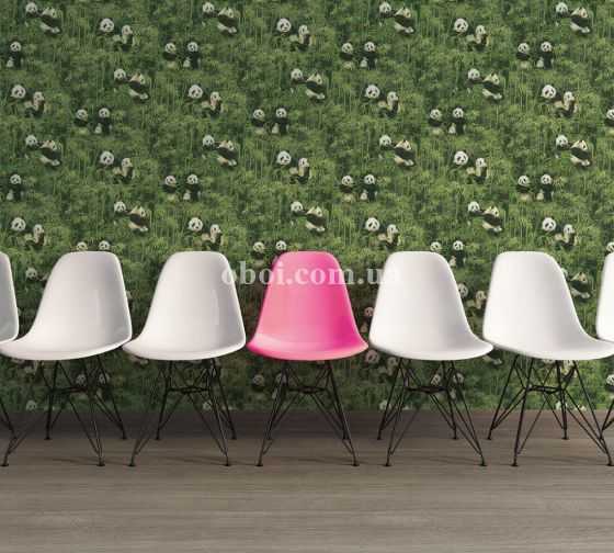 Шпалери AS Creation колекції Simply decor в інтер'єрі